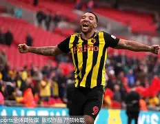 易游官网登录入口-足总杯决赛时间2024